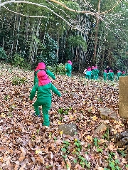 みかん狩り